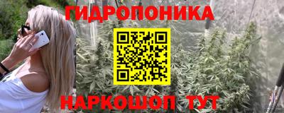 винт Будённовск