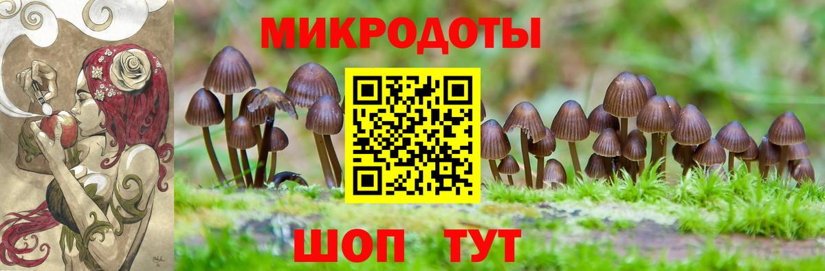 Тутаев  Псилоцибиновые грибы Magic Shrooms  Галлюциногенные грибы Psilocybine cubensis  Вход с VPN 